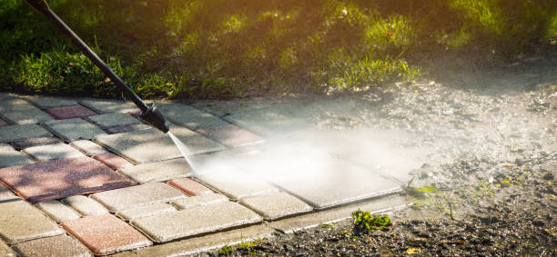 Solar Panel Cleaning in Laguna Park, TX